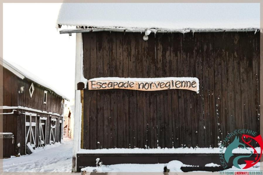 Escapade Norvegienne Apartment Tolga ภายนอก รูปภาพ