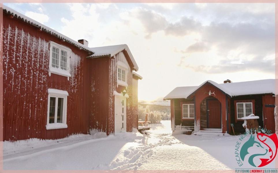 Escapade Norvegienne Apartment Tolga ภายนอก รูปภาพ