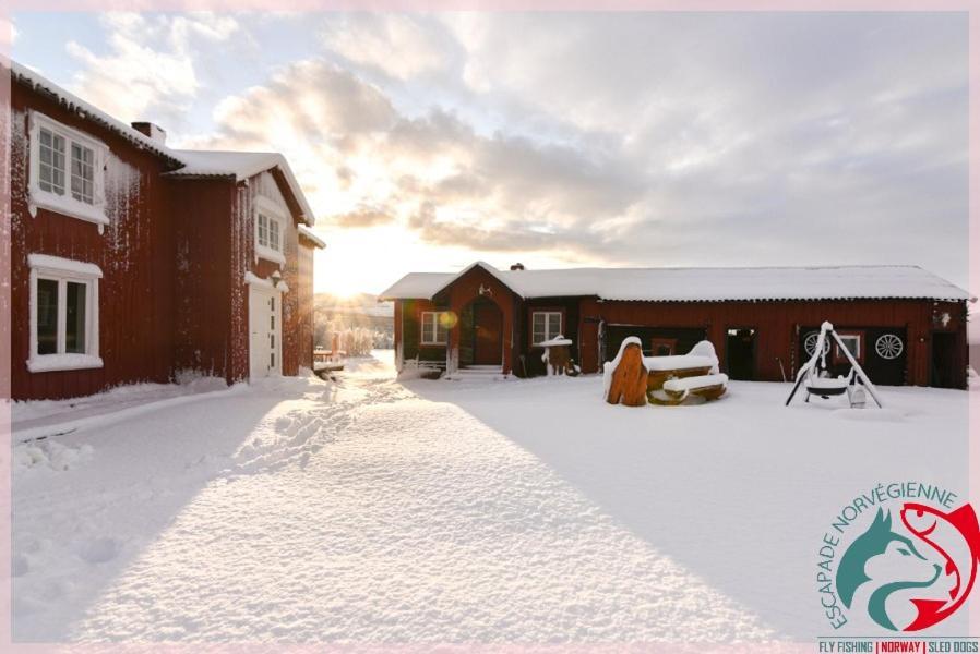 Escapade Norvegienne Apartment Tolga ภายนอก รูปภาพ