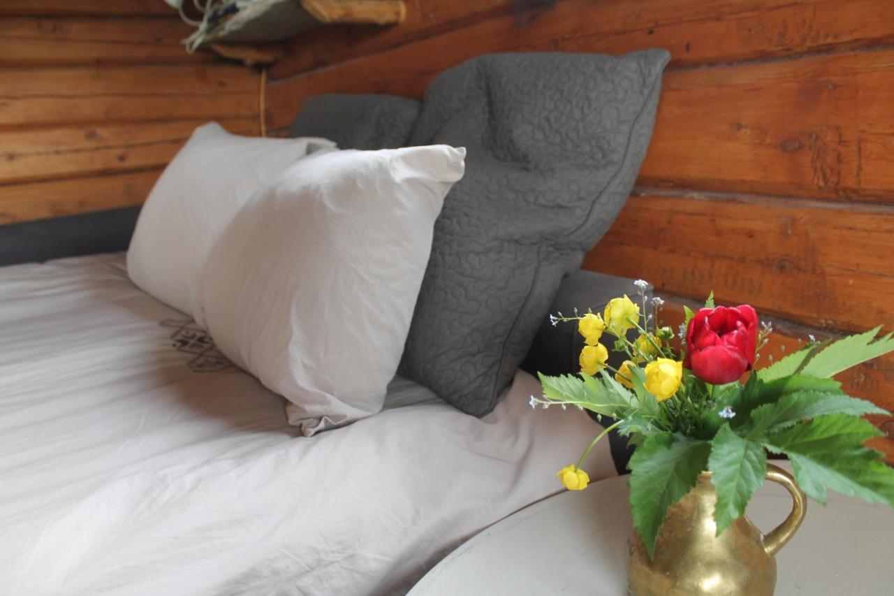 Escapade Norvegienne Apartment Tolga ภายนอก รูปภาพ