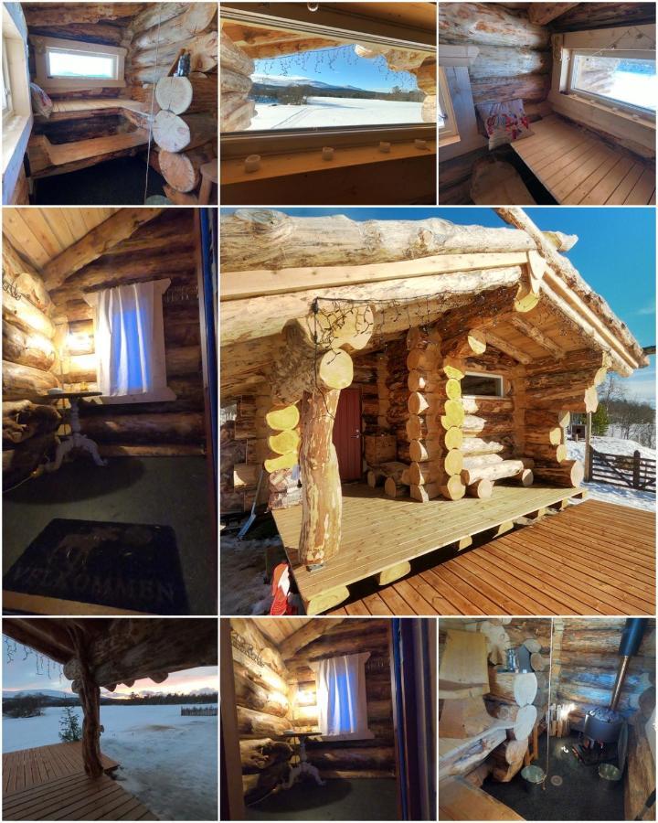 Escapade Norvegienne Apartment Tolga ภายนอก รูปภาพ