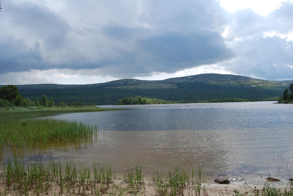 Escapade Norvegienne Apartment Tolga ภายนอก รูปภาพ