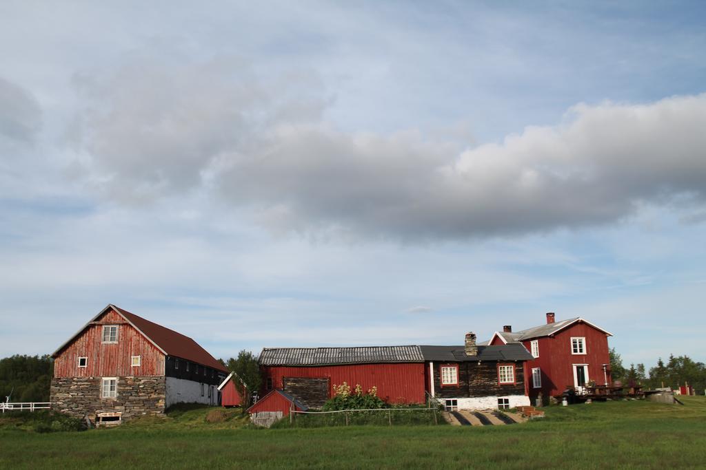 Escapade Norvegienne Apartment Tolga ภายนอก รูปภาพ